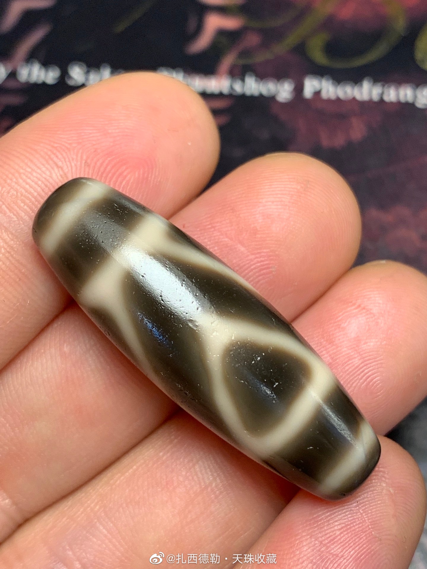 至纯天珠金刚虎牙天珠-我爱看围脖